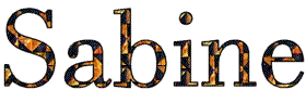 Sabines Quilting Website